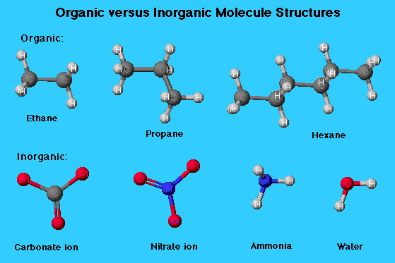 organic and inorganic chemistry